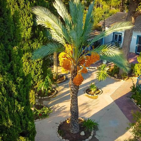 La Casita De Invitados Los Banos de Fortuna Exteriér fotografie