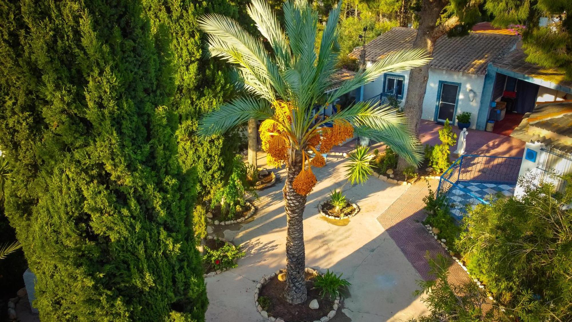 La Casita De Invitados Los Banos de Fortuna Exteriér fotografie